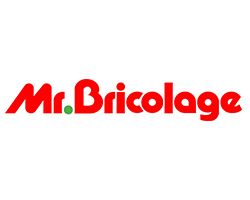 Mr. Bricolage