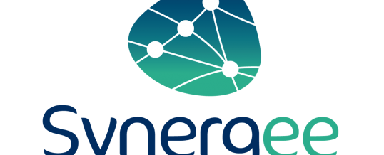 Synergee Group