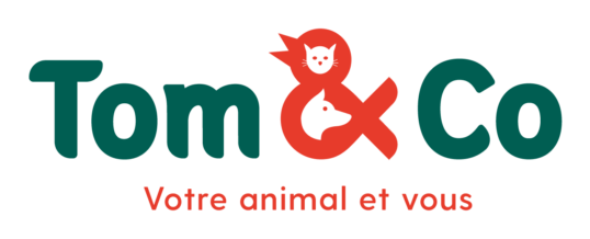 Le réseau de franchise Tom&Co est satisfait de l’année 2019 !