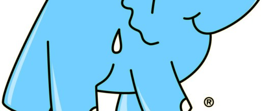Eléphant Bleu élargit son réseau de franchise